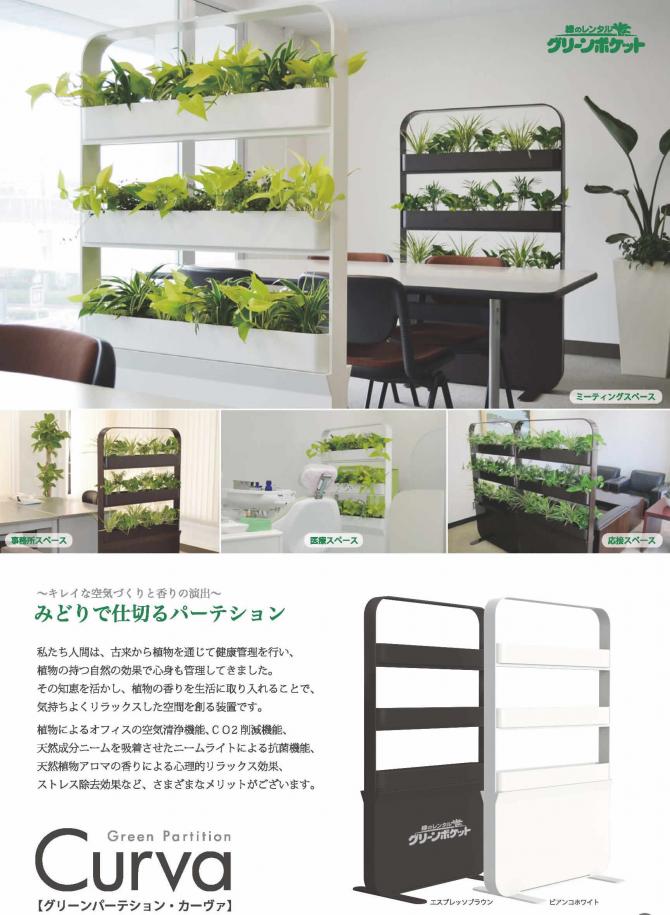 Curvaｶｰｳﾞｧ 観葉植物 グリーンレンタルのグリーンポケット墨田店